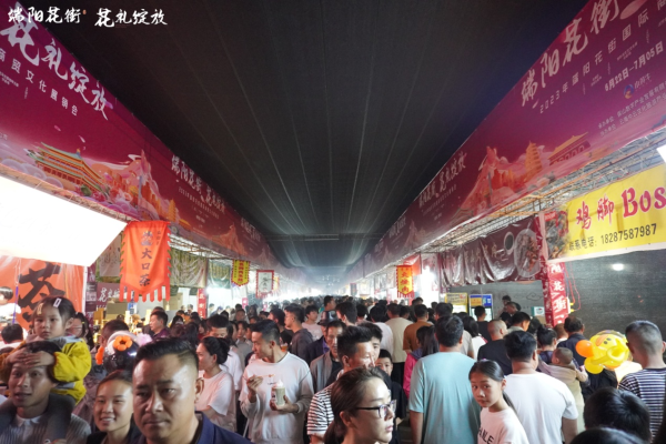 乐云网
