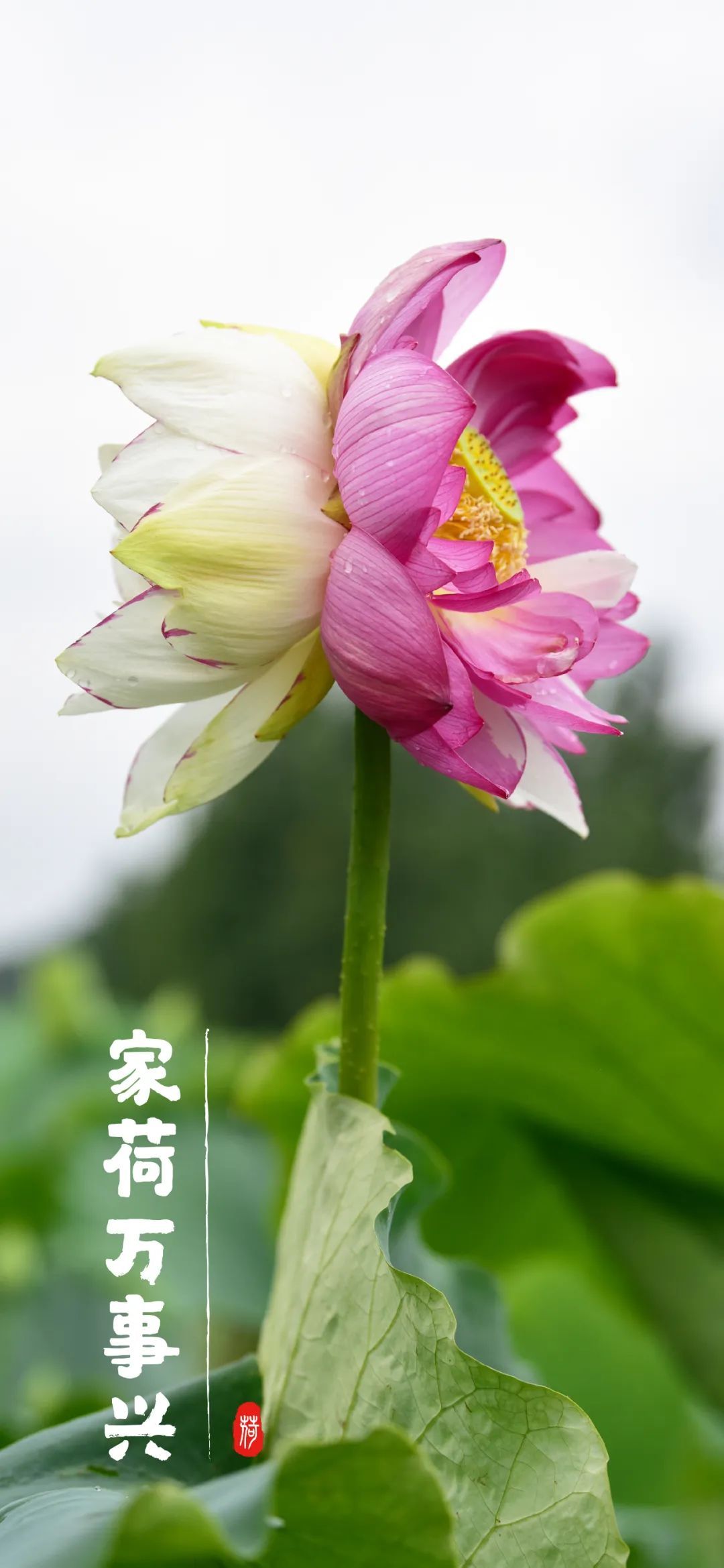 云南省文化和旅游厅