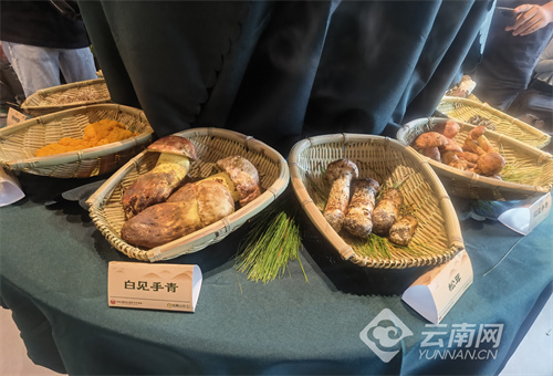 云南省文化和旅游厅