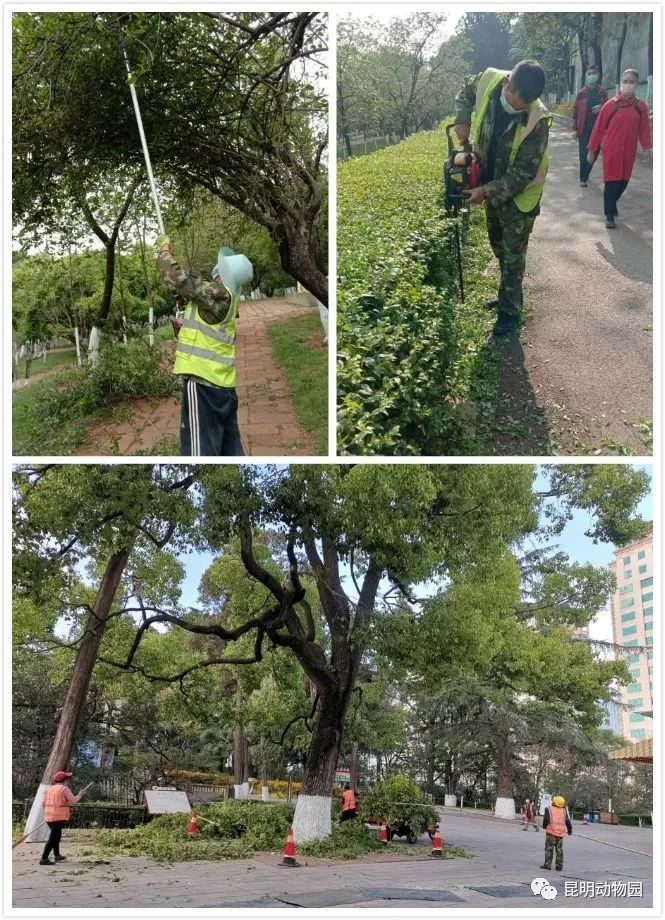 昆明动物园