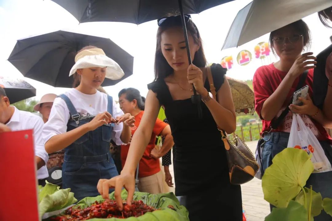 保山新闻网