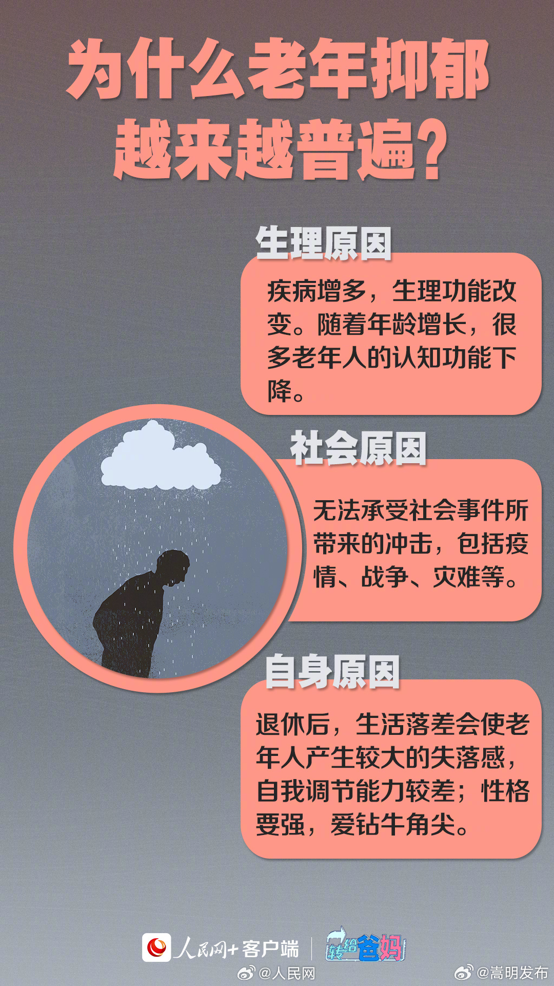 嵩明发布