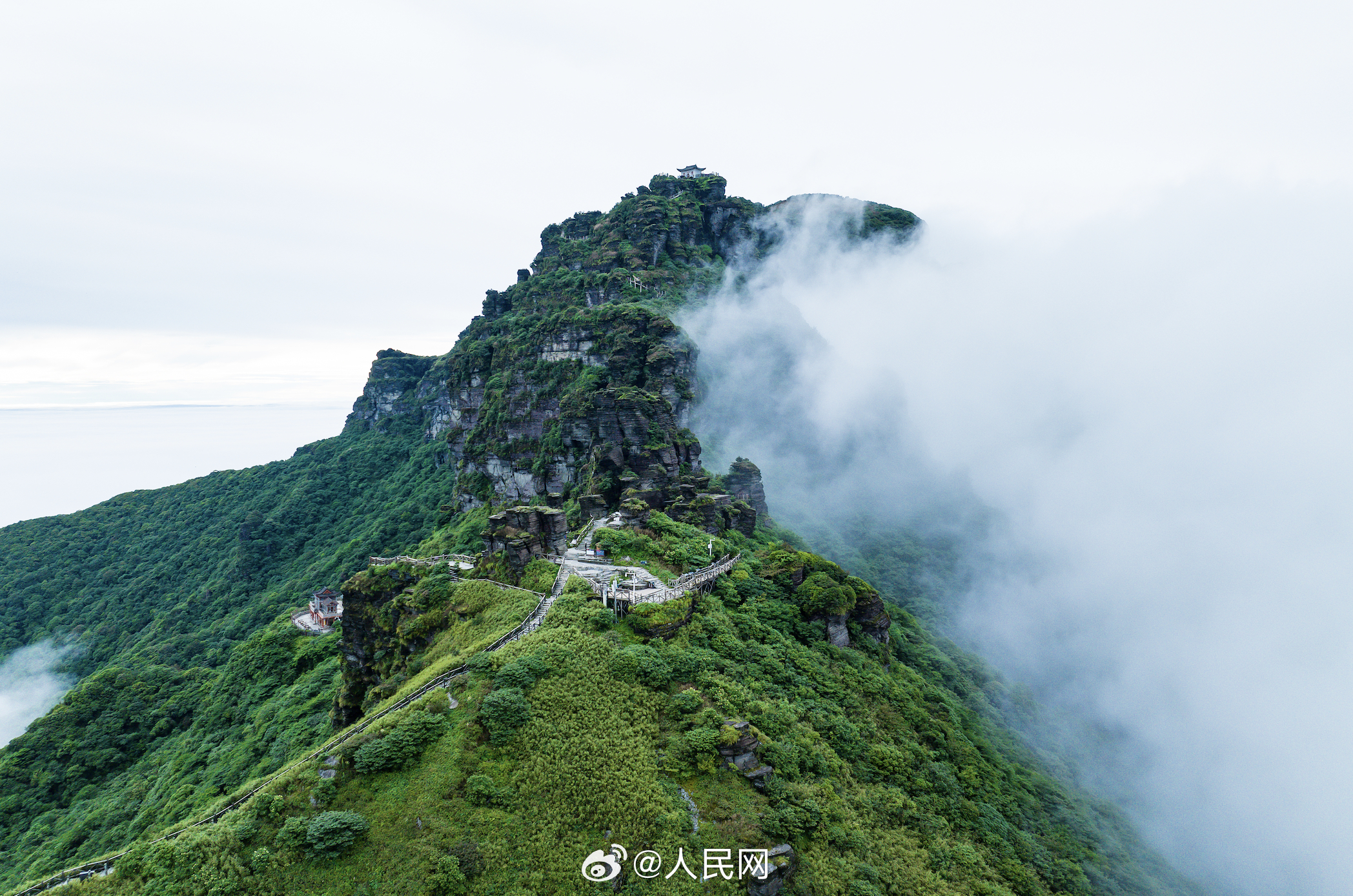 人民网