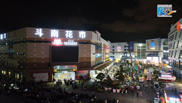 云南省文化和旅游厅
