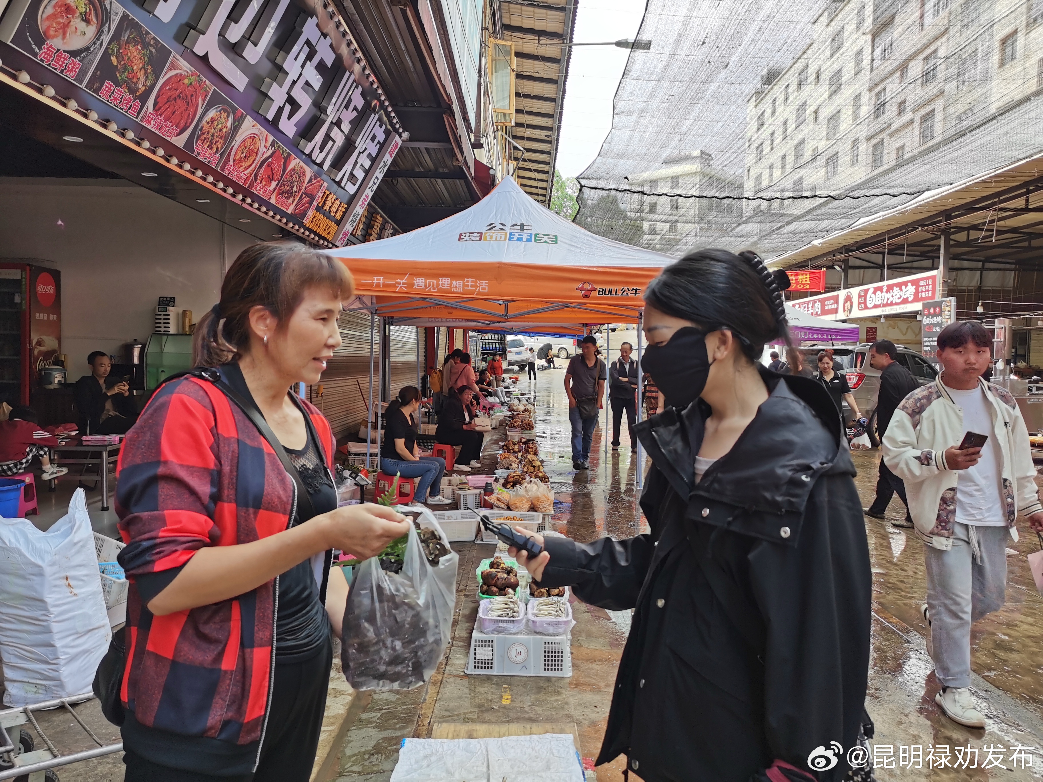 昆明禄劝发布