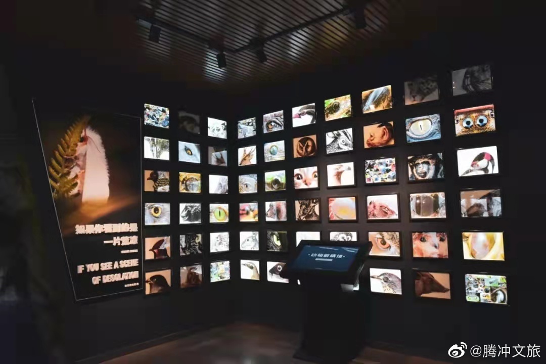 腾冲文旅