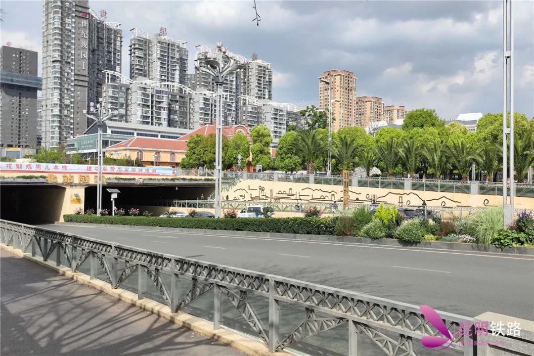 微观盘龙
