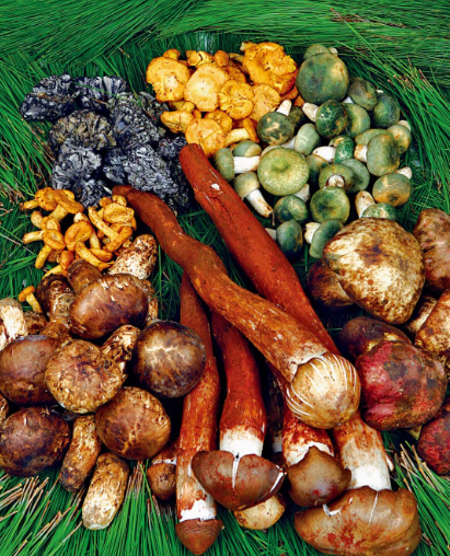 晋宁诗意的栖居地