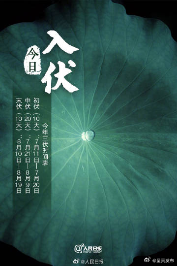 呈贡发布