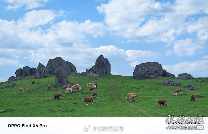 昆明信息港微博