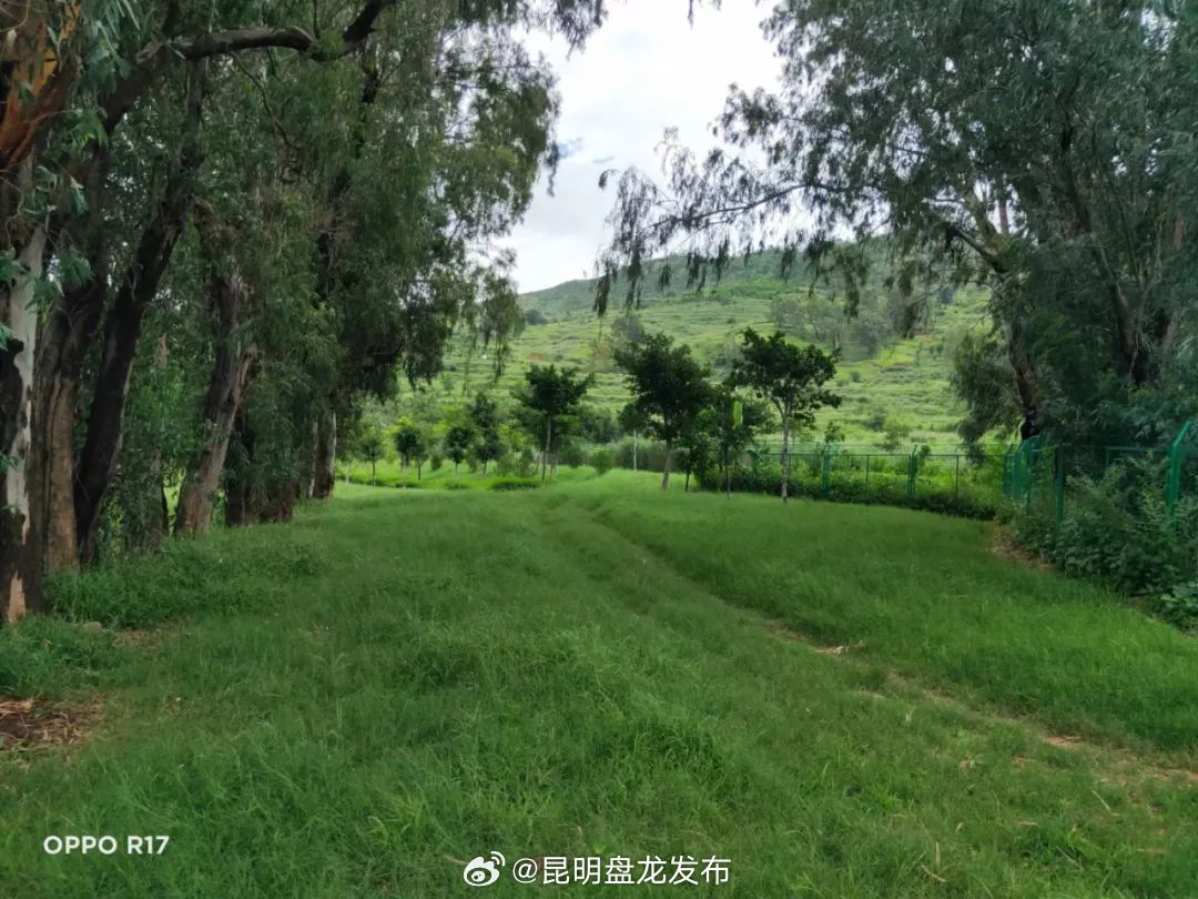 昆明盘龙发布