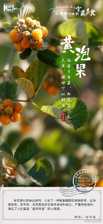 呈贡发布