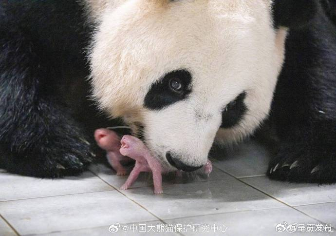 呈贡发布