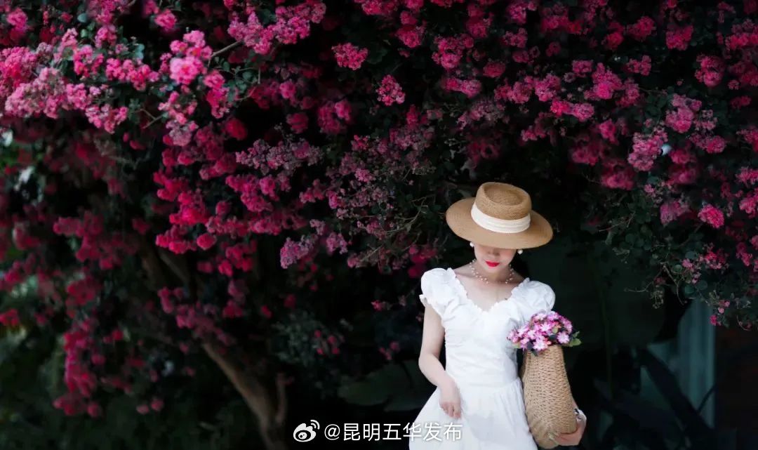 昆明五华发布