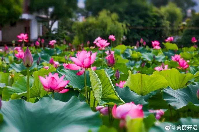 云南省文化和旅游厅