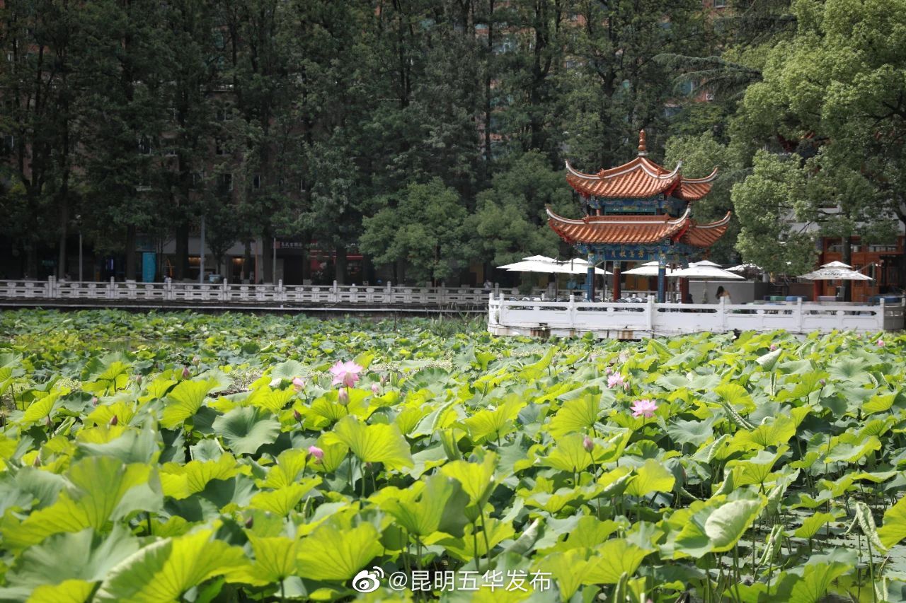 昆明五华发布