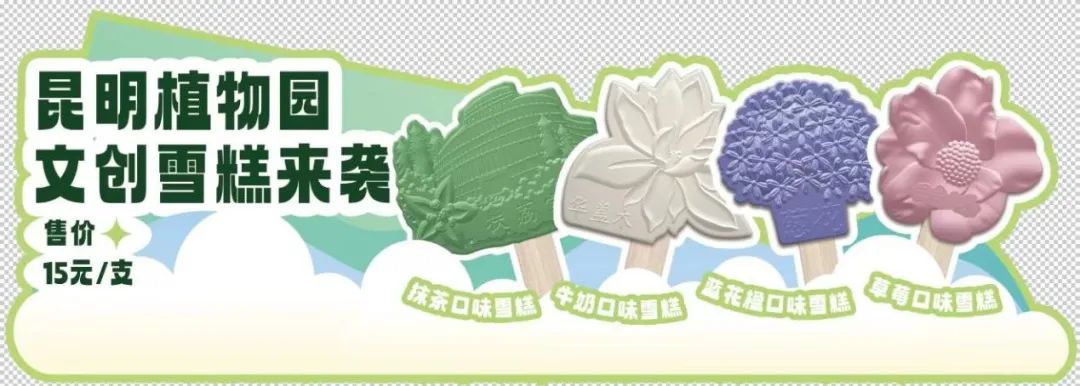 微观盘龙