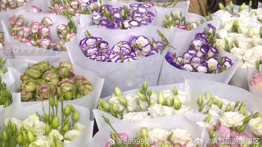 “好便宜，震惊了！”如果浪漫有地址，一定是斗南花市