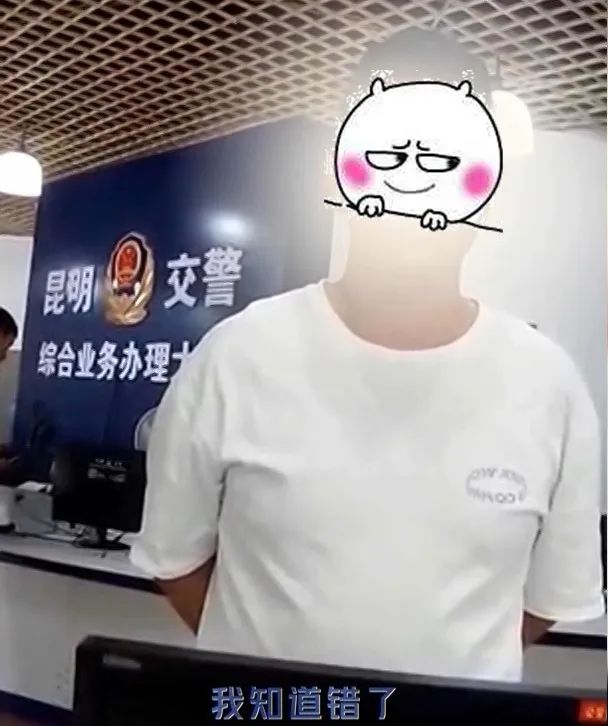 掌上春城微信