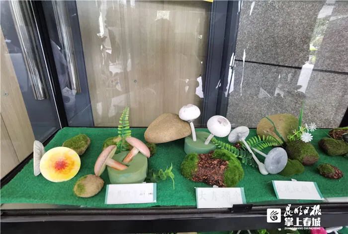 昆明信息港/cnkmxxg