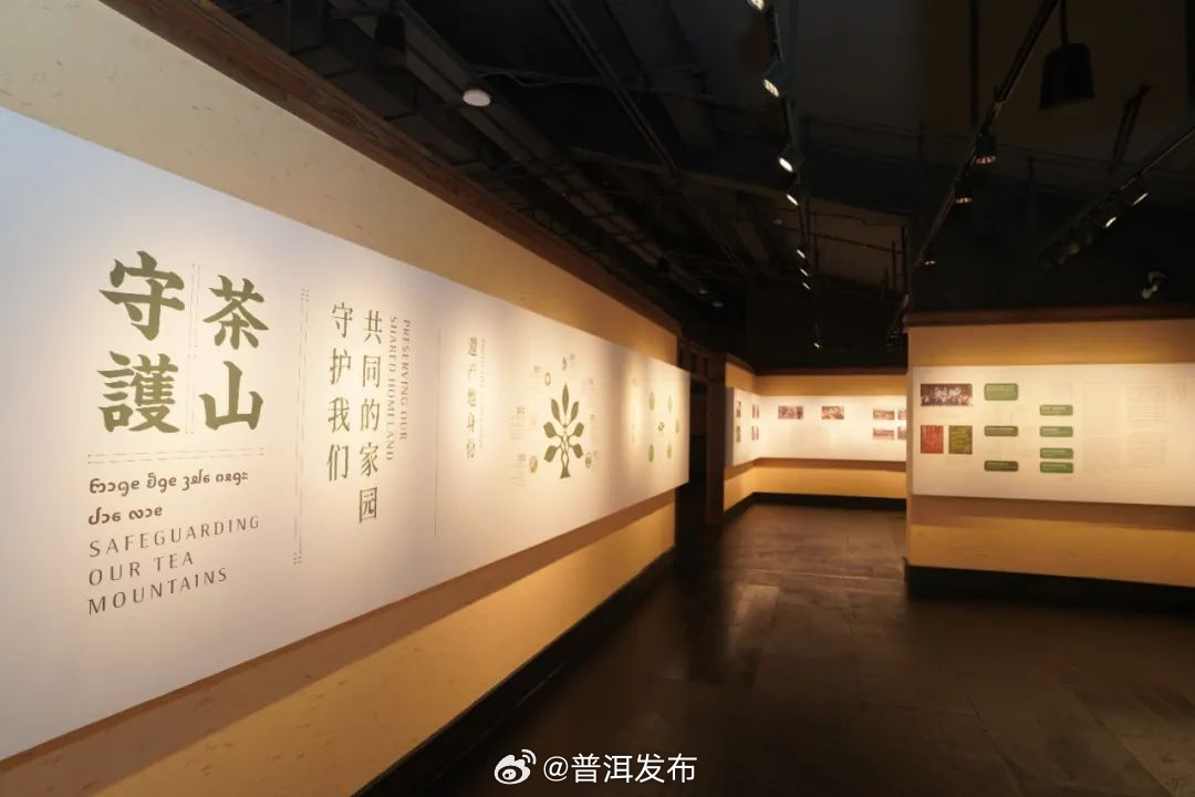 普洱发布
