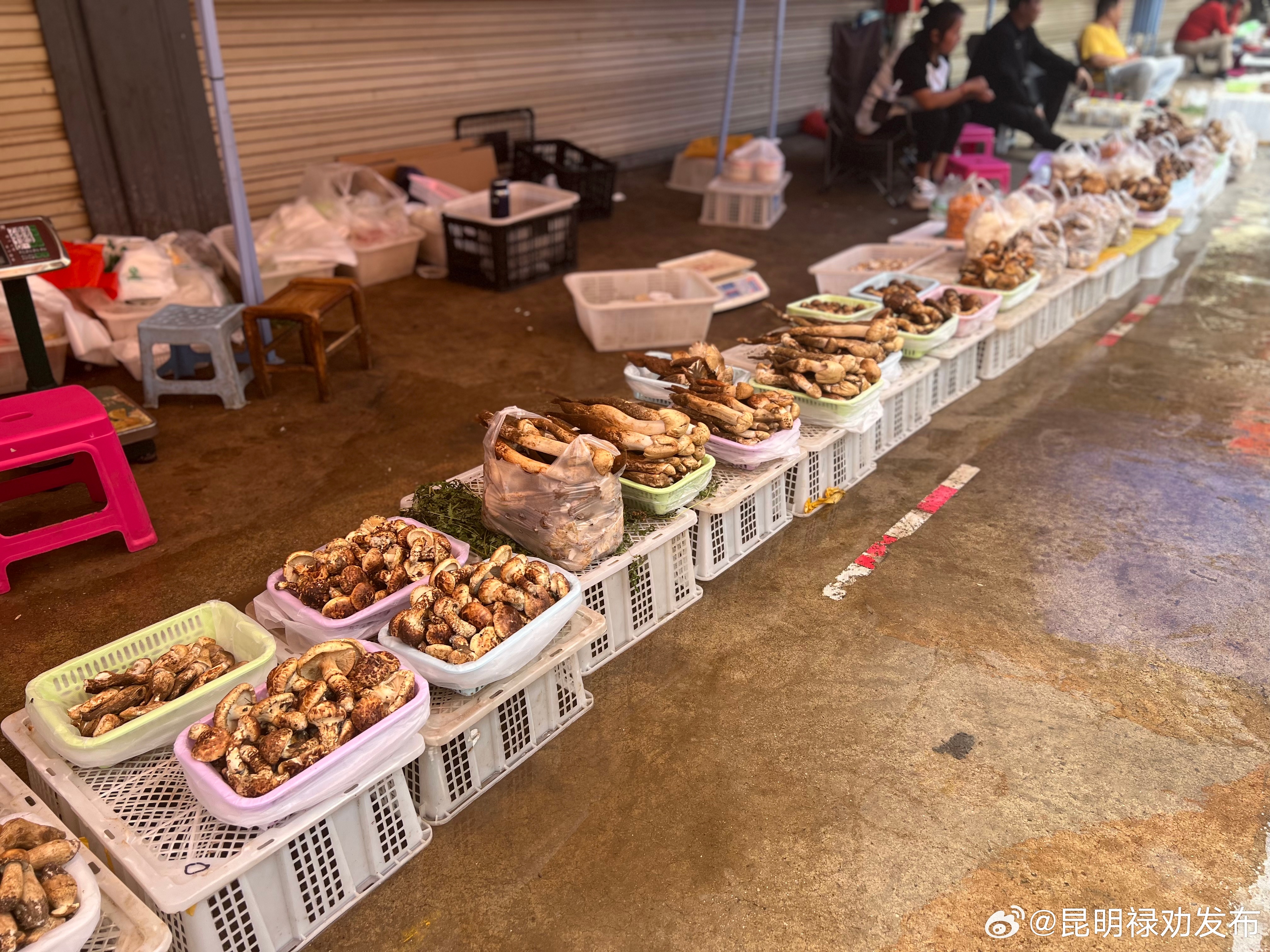 昆明禄劝发布