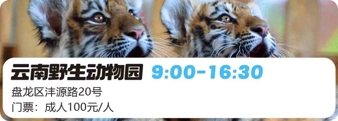 微观盘龙