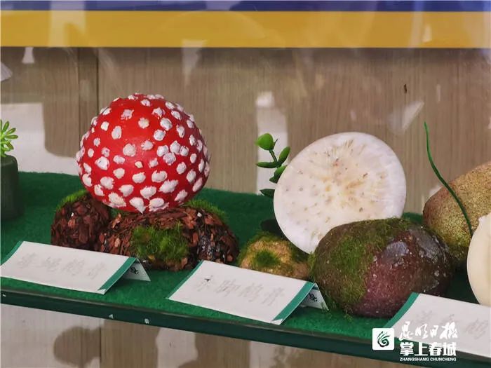 昆明信息港/cnkmxxg