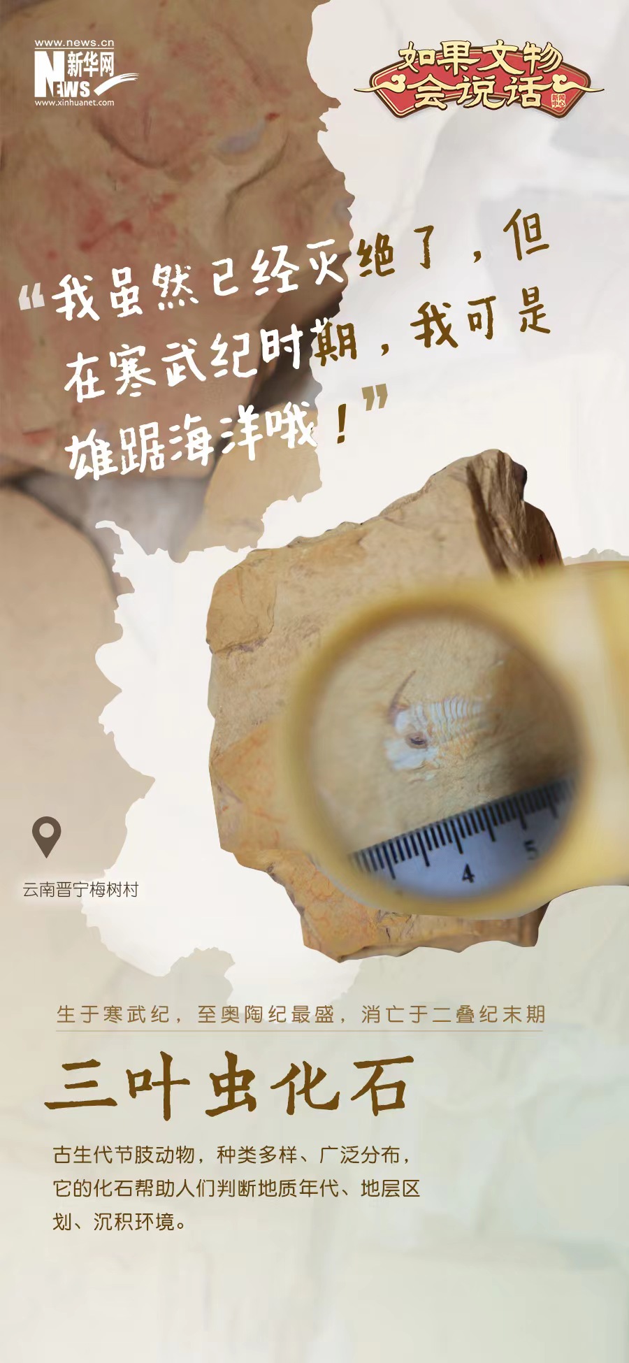 云南省文化和旅游厅