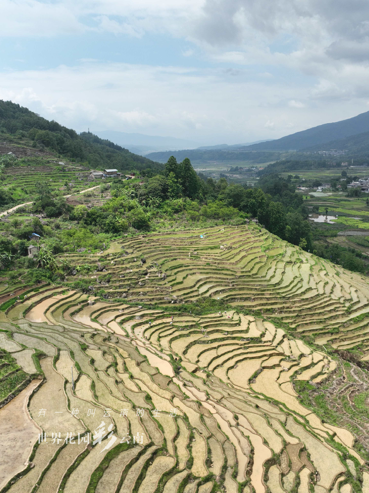云南省文化和旅游厅