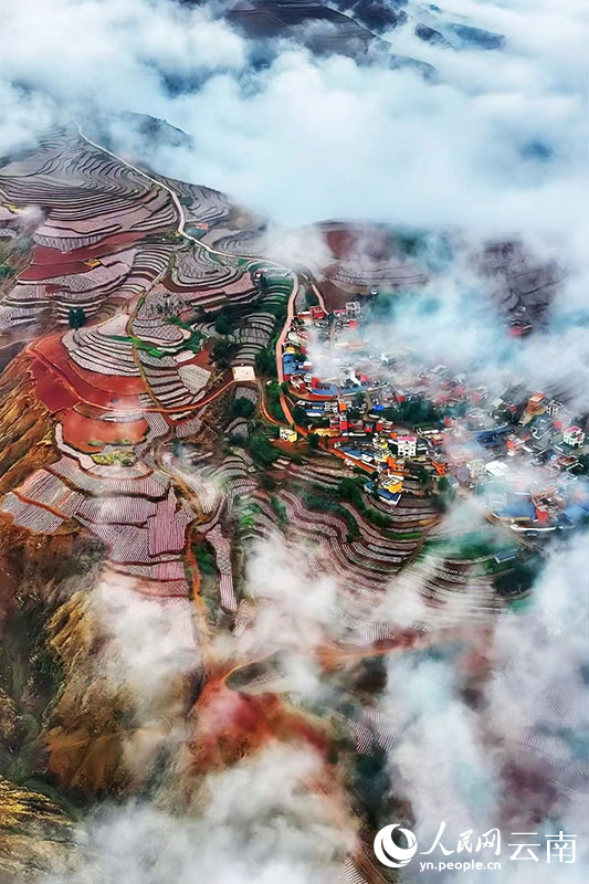 云南省文化和旅游厅