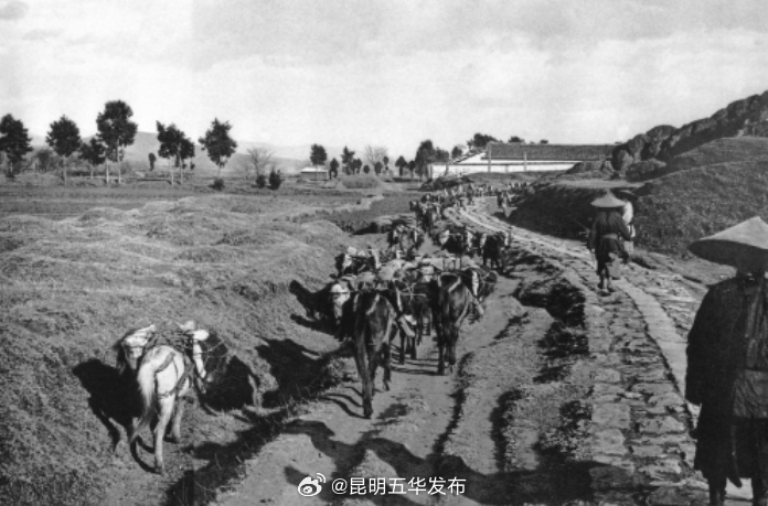 昆明五华发布