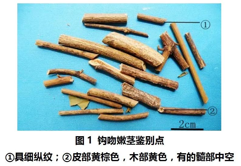掌上春城微信
