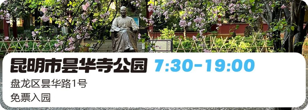 微观盘龙