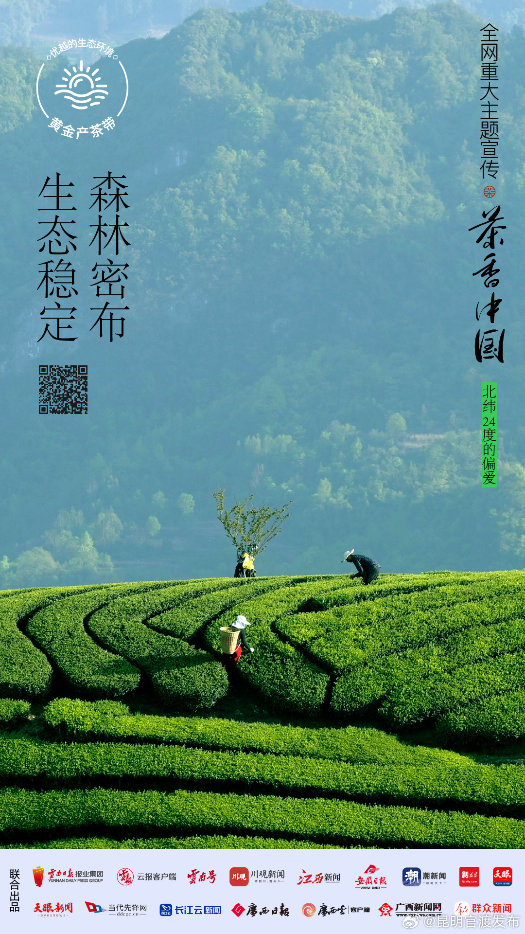 昆明官渡发布