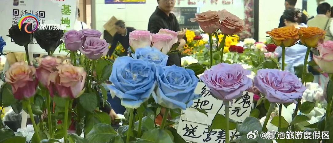 滇池旅游度假区