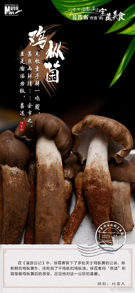 嵩明发布