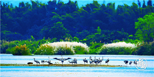 云南省文化和旅游厅