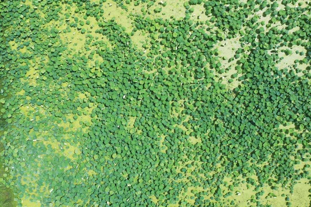 晋宁诗意的栖居地