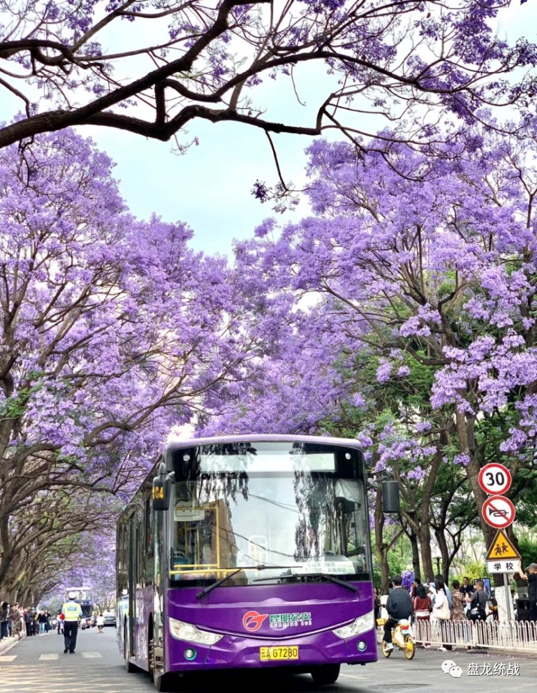 盘龙统战