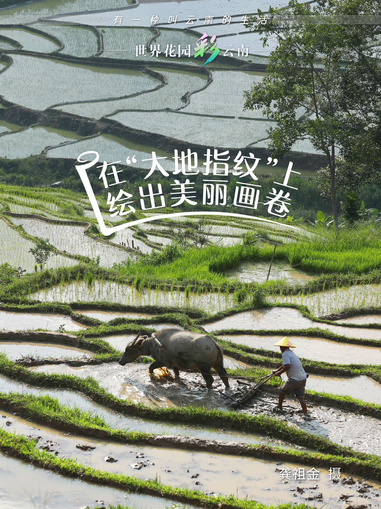 云南省文化和旅游厅