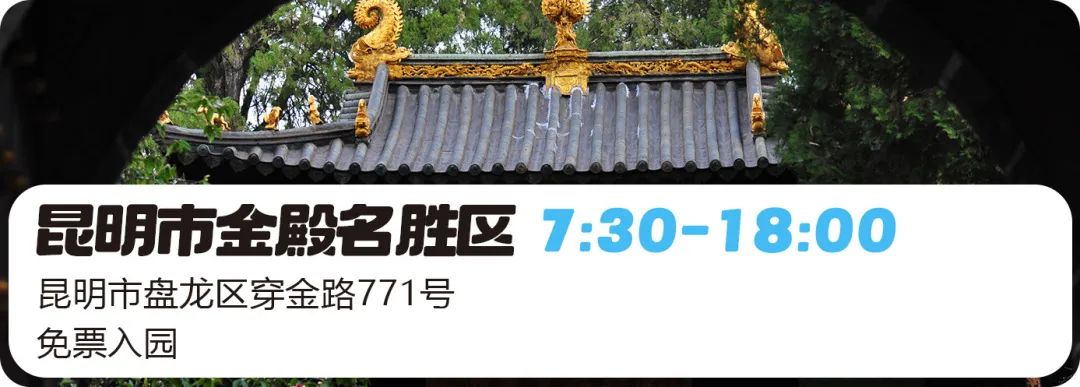 微观盘龙