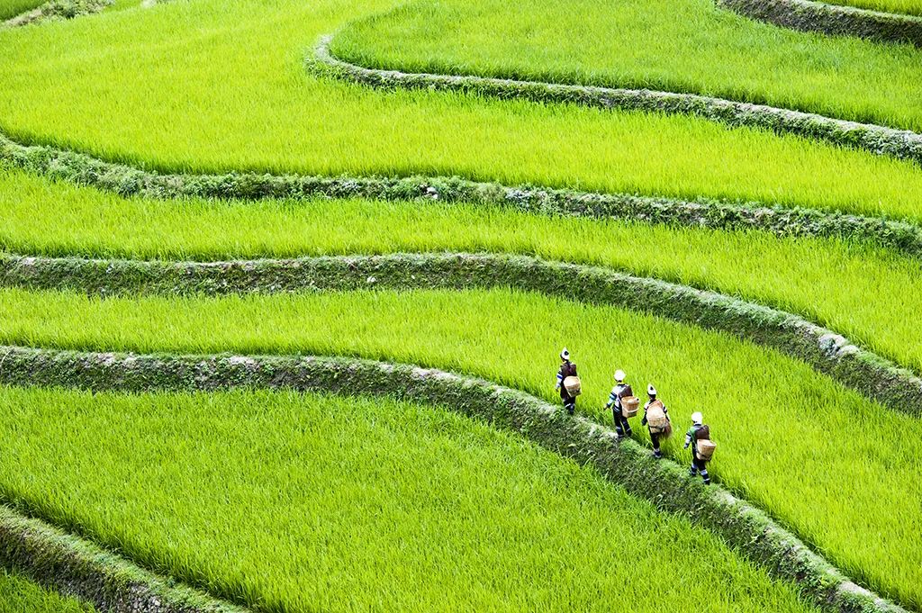 红河文旅