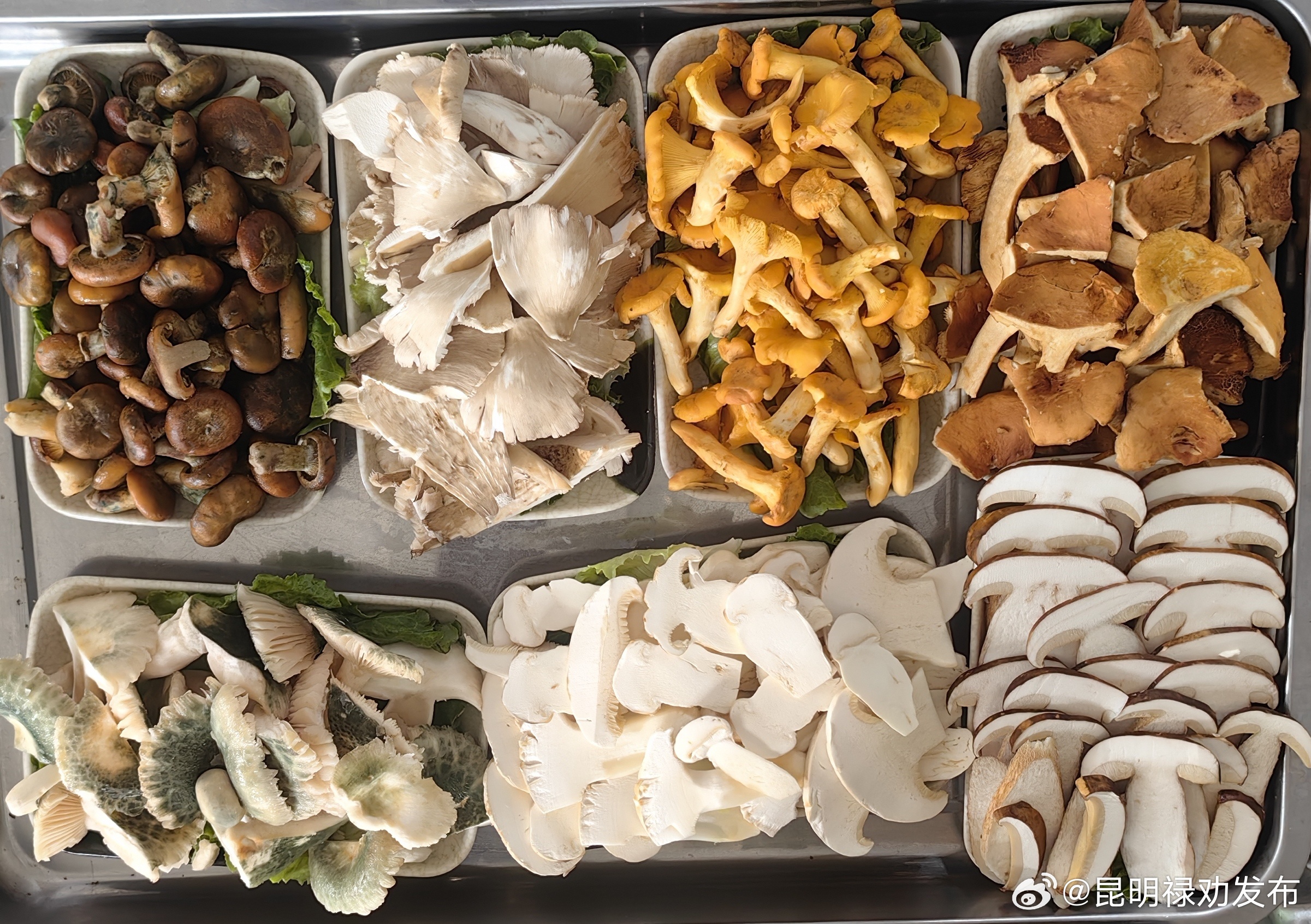 昆明禄劝发布