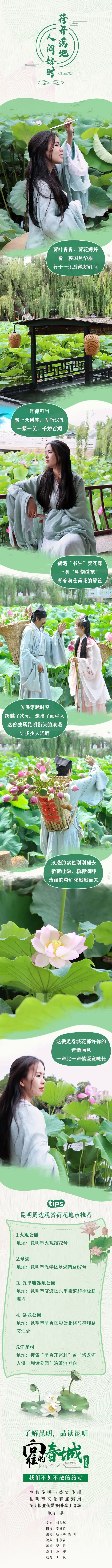 掌上春城微信