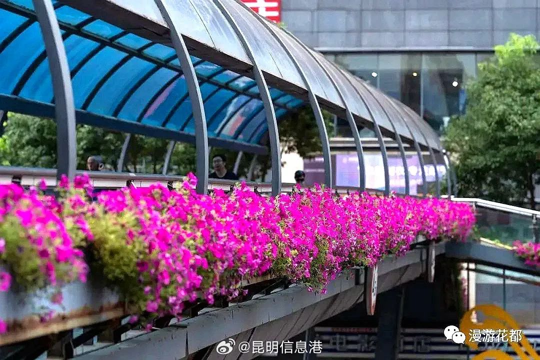 昆明信息港微博