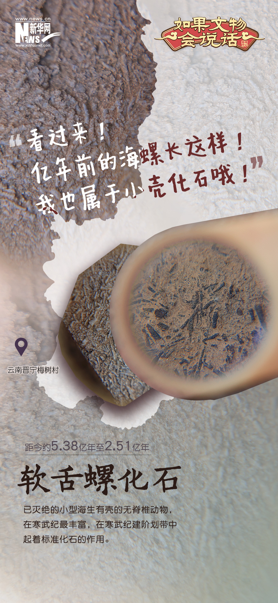 云南省文化和旅游厅