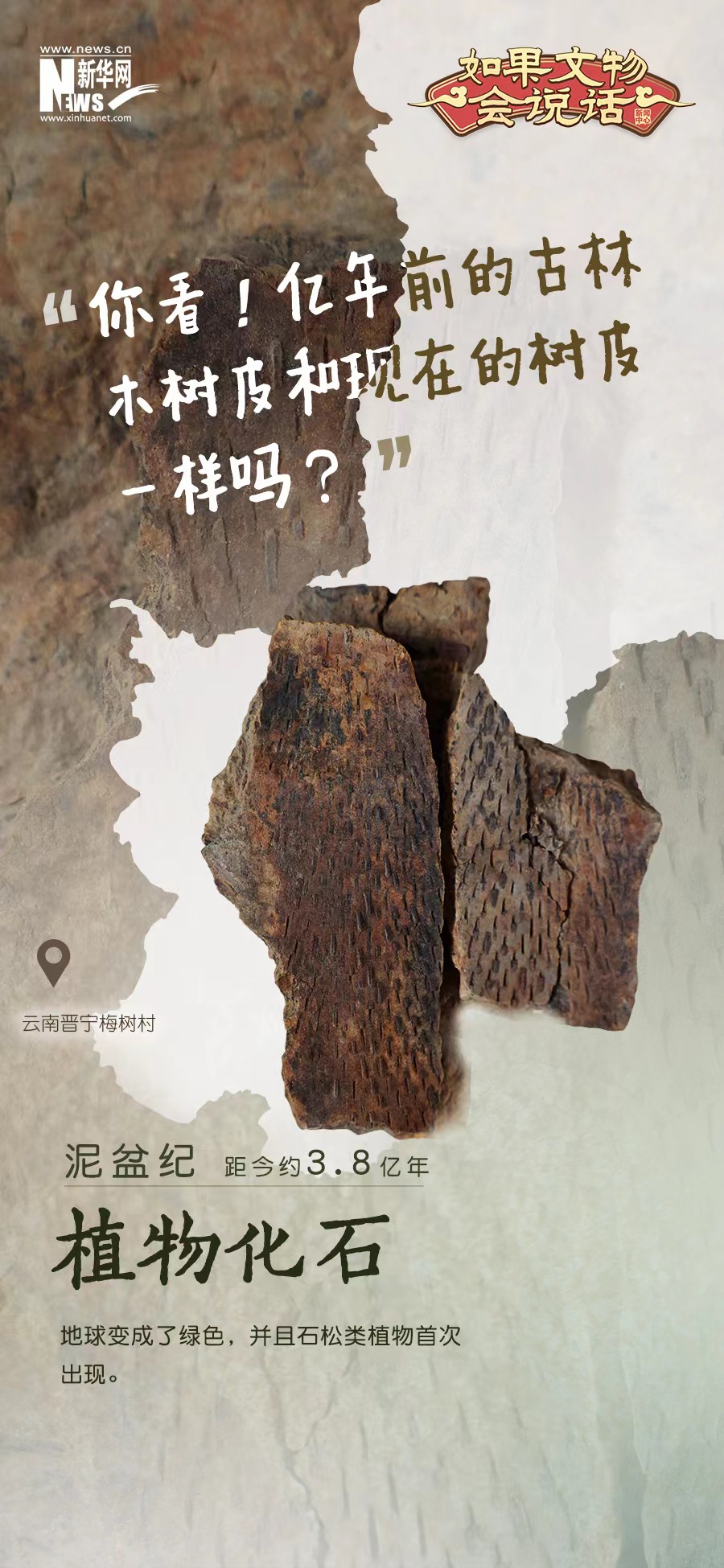 云南省文化和旅游厅