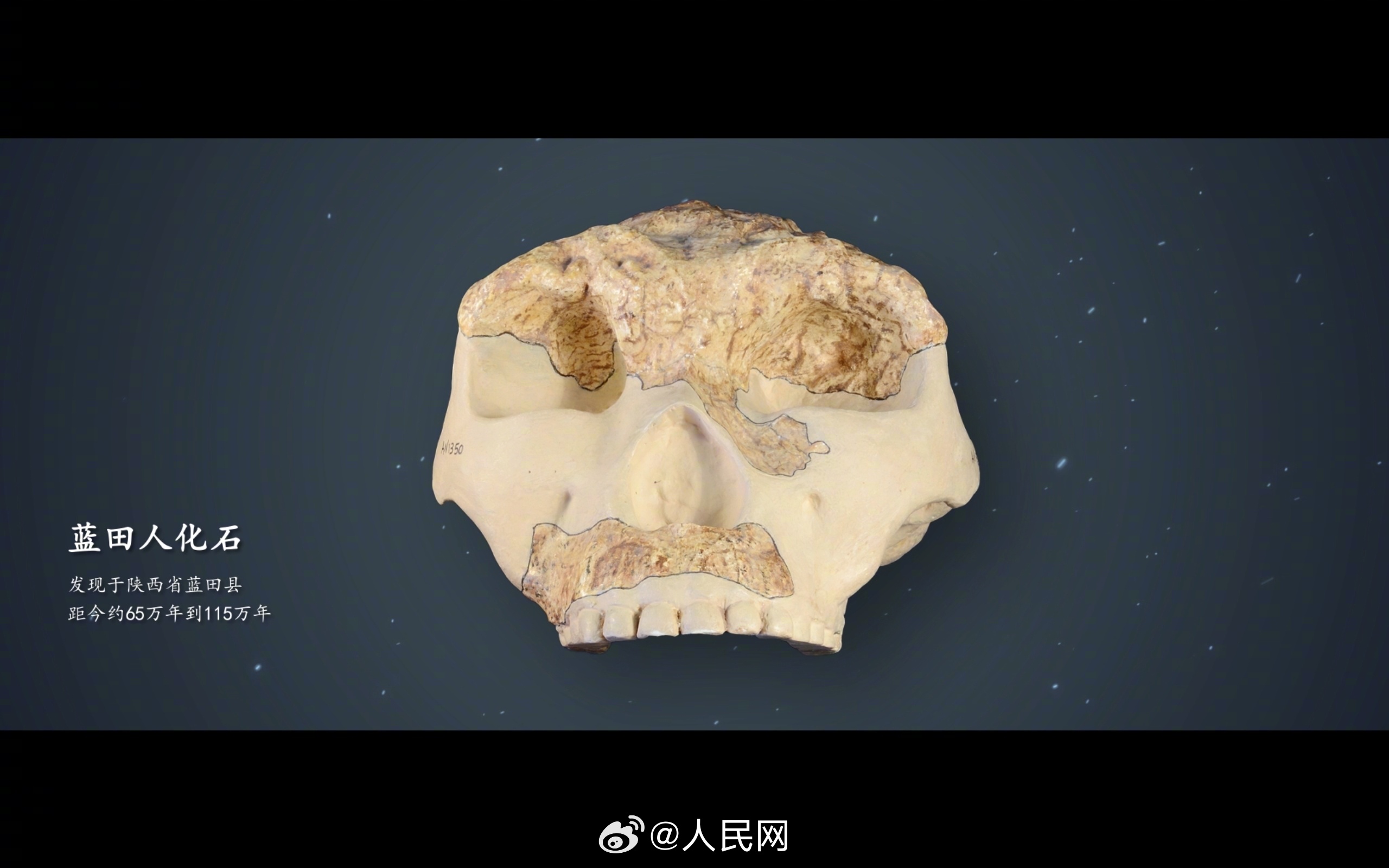 人民网