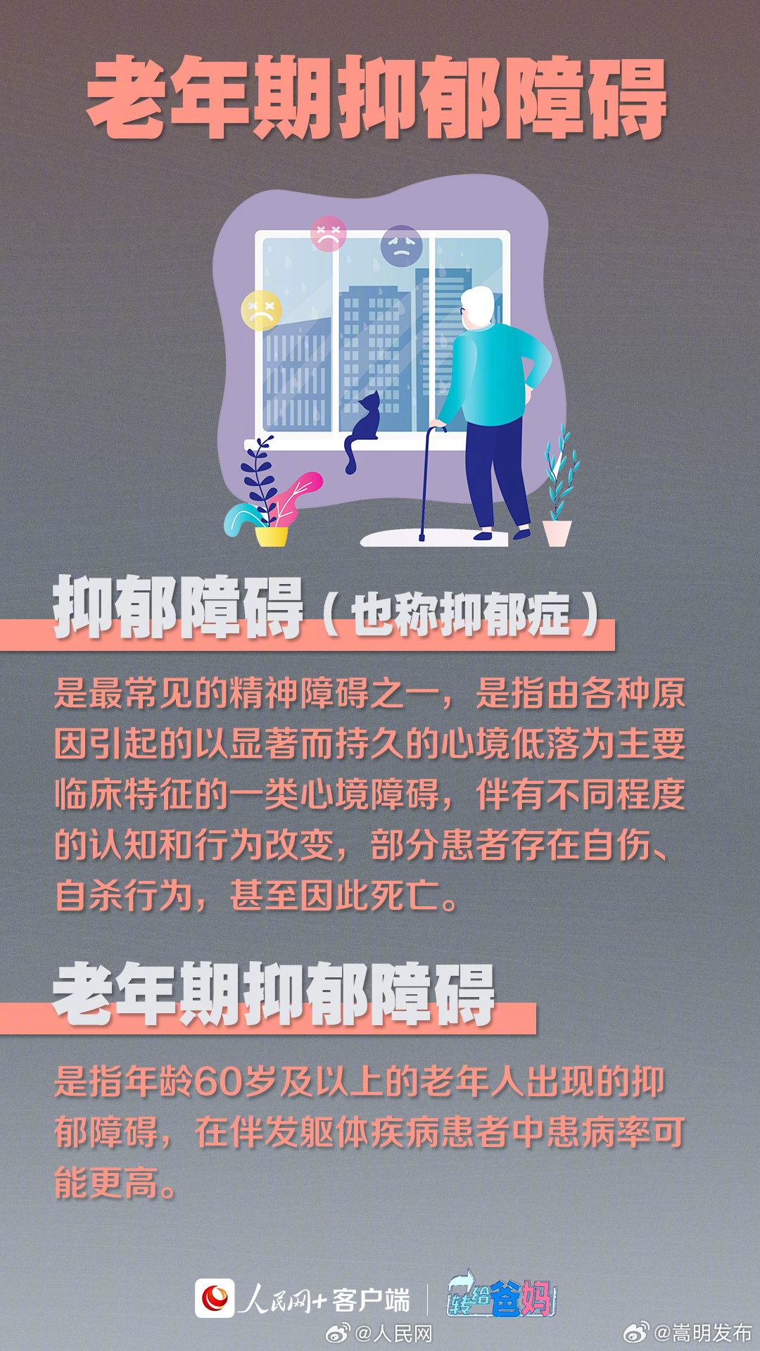 嵩明发布